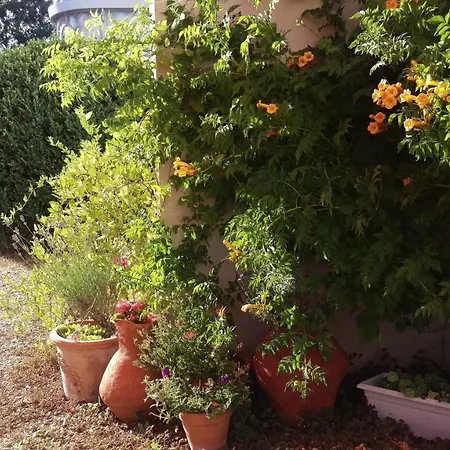 Bed & Breakfast D'hote Les Avettes Remereville